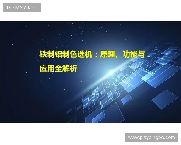 暂停时间限制：规则解析与实际应用中的关键要点